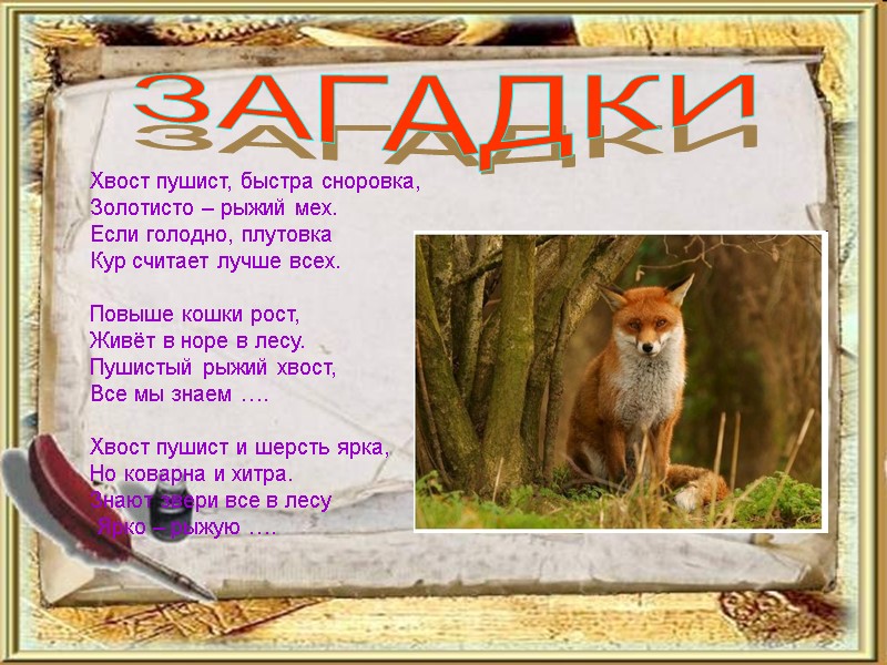 ЗАГАДКИ Хвост пушист, быстра сноровка,  Золотисто – рыжий мех. Если голодно, плутовка 